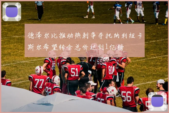 德泽尔比推动热刺争夺托纳利纽卡斯尔希望转会总价达到1亿镑
